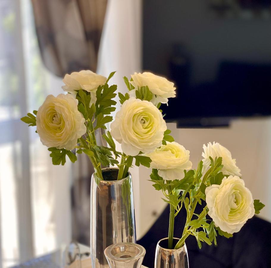 Apartman Sogni D’Oro Lejlighed Pula Eksteriør billede